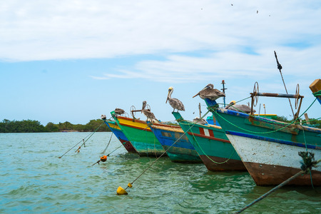 Fishing harbour of Puerto Pizarro, Tumbes, Peruの写真素材