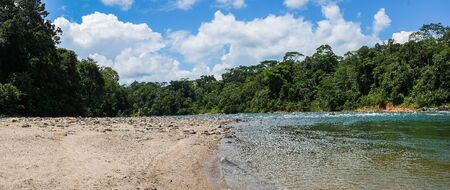 Beach of Misahualli on Rio Napo, Amazon, Ecuadorの写真素材