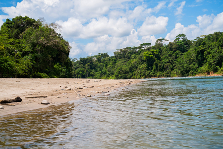 Beach of Misahualli on Rio Napo, Amazon, Ecuadorの写真素材