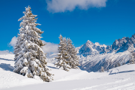 Winter landscape with Mont Blanc from Prarion, Les Houches, Chamonix, Franceの写真素材