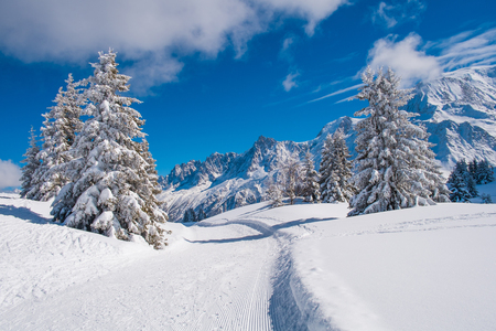 Winter landscape with Mont Blanc from Prarion, Les Houches, Chamonix, Franceの写真素材
