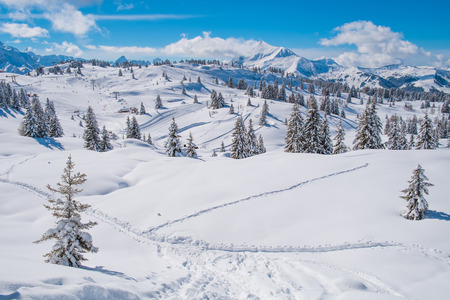 Winter landscape in Prarion close to Chamonix, Les Houches, Franceの写真素材
