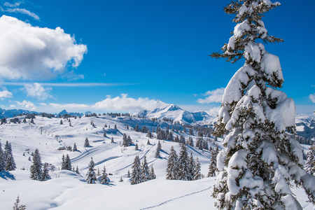Winter landscape in Prarion close to Chamonix, Les Houches, Franceの写真素材