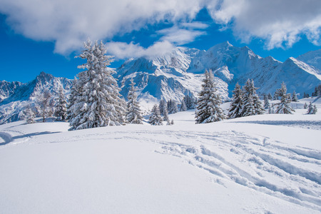 Winter landscape with Mont Blanc from Prarion, Les Houches, Chamonix, Franceの写真素材