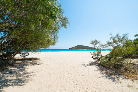 Tuerredda beach in Teulada, Sardinia, Italyの写真素材