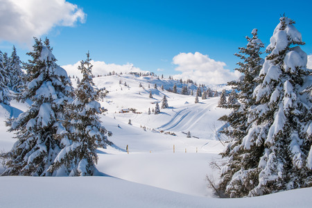 Winter landscape in Prarion close to Chamonix, Les Houches, Franceの写真素材