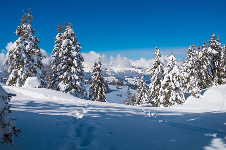 Winter landscape in Prarion close to Chamonix, Les Houches, Franceの写真素材
