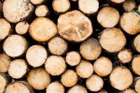 stack of log in Alps mountainsの写真素材