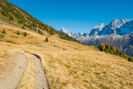 View of Mont Blanc from chalets des Chailloux in autumn, Chamonix, Franceの写真素材