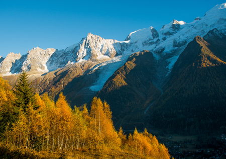 View of Mont Blanc from a pine forest in autumn, Chamonix, Franceの写真素材