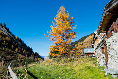 Chalets de Miage in Autumn, Saint Gervais les bains, Chamonix, Franceの写真素材