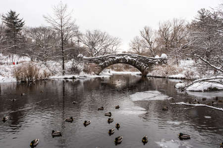 Snow in the parkの写真素材