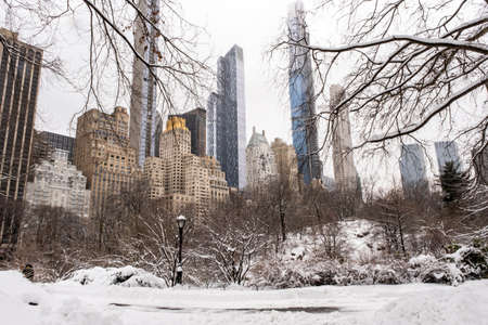 Snow in the cityの写真素材