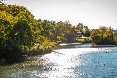 Trees in the lake in the fallの写真素材