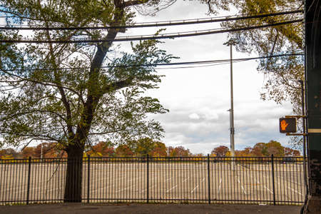 A vertical shot of a tree and a metal fence in the backgroundの写真素材