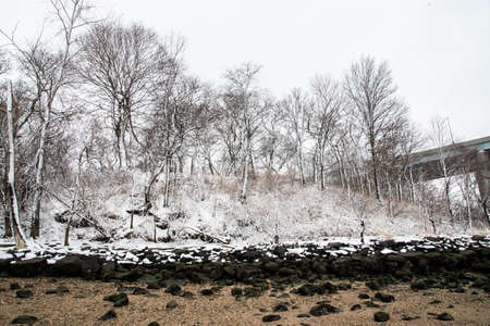 Winter landscape with snow covered trees on the shore of the river.の写真素材