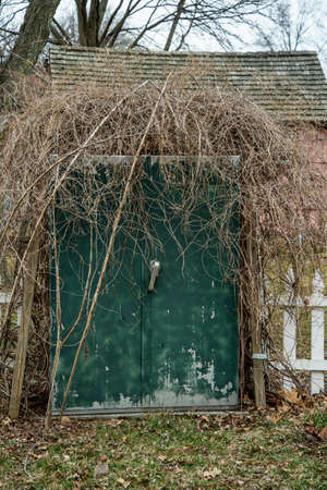 Old green door in the backyard of a country house.の写真素材