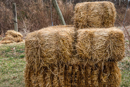 Stack of hay bales on a farm in the countryside. Selective focus.の写真素材
