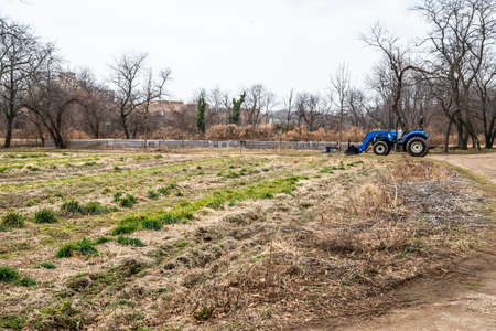 A blue tractor is driving through a field of dry grass in the spring.の写真素材
