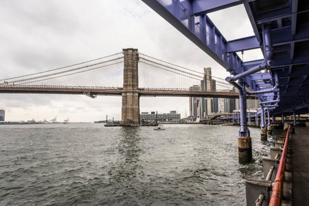 Under the bridgeの写真素材