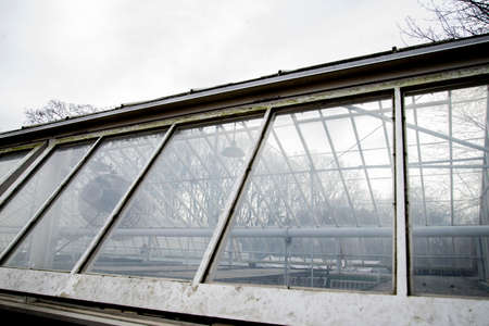 The interior of a greenhouse in the winter. The view from the window.の写真素材