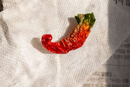 Red hot chili pepper on a white napkin. High quality photoの写真素材