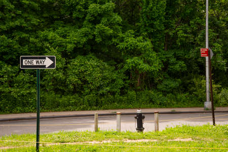 Street Sign the Direction Way to Green versus Dark Green, Nature Backgroundの写真素材