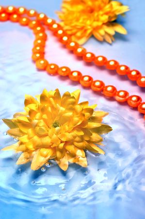 Yellow flower with orange necklace in waterの写真素材