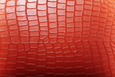 Texture of stylish dark brown crocodile leather の写真素材