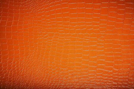Texture of fashionable brown crocodile leather 
