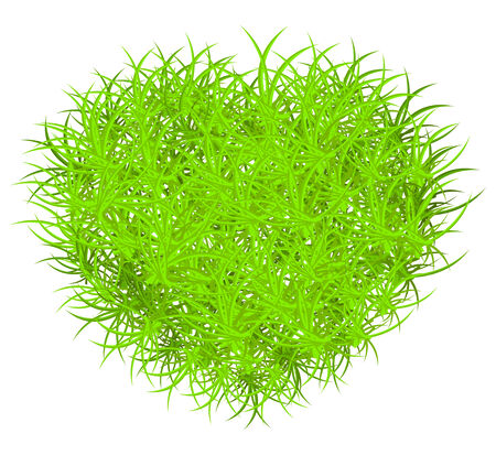 Vector illustration of green grass heart  のイラスト素材