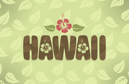 Vector illustration of Hawaii with hibiscus flowers in vintage colorsのイラスト素材