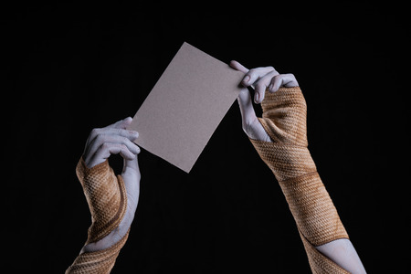 Bandaged mummy hands holding a piece of cardboard, Halloween themeの写真素材