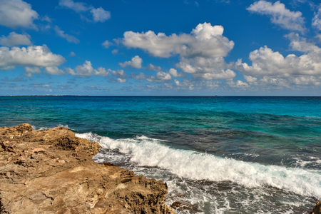 Paradise nature, heron and summer on the tropical beach. Cancun, Riviera Maya, Mexico.の写真素材