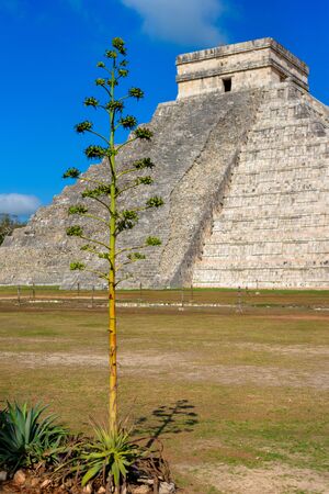 Ruins of the ancient Mayan civilization in Chichen Itza.