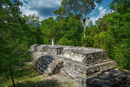 The ruins of the city of Calakmul. Maya Pyramid. Mexico.の写真素材