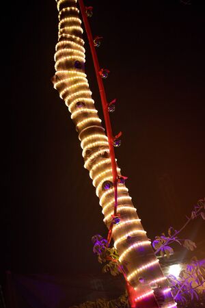 Palm tree trunk decorated with white garland.の写真素材