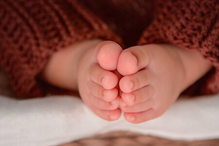 Newborn baby feet, Photo of newborn baby feet, soft focus.