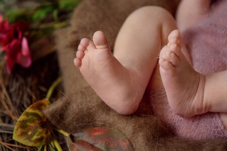 Newborn baby feet, Photo of newborn baby feet, soft focus.の写真素材