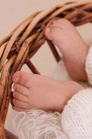 Newborn baby feet, Photo of newborn baby feet, soft focus.の写真素材