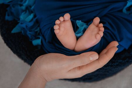 Newborn baby feet and hands of parents. Palms together.