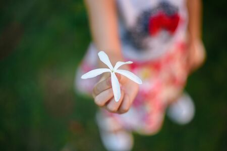The child holds a white flower in his hand.の写真素材