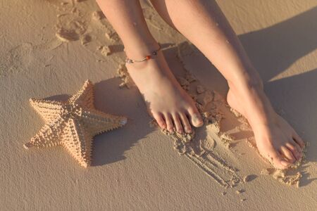 Women's feet and starfish on sand.の写真素材