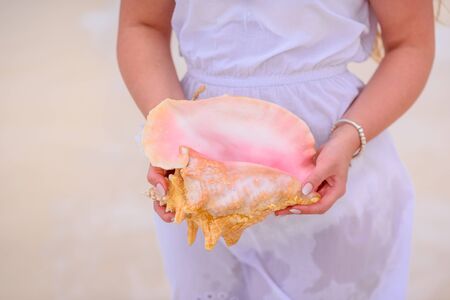 A huge shell in the hands of a girl in a dress.の写真素材