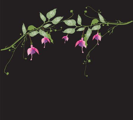 Illustration of a floral backgroundのイラスト素材