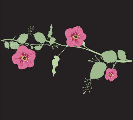 Illustration of a floral backgroundのイラスト素材