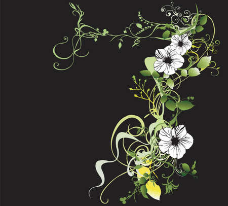Illustration of a floral backgroundのイラスト素材