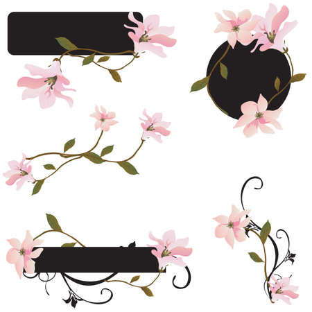 Set of design elements with magnoliasのイラスト素材