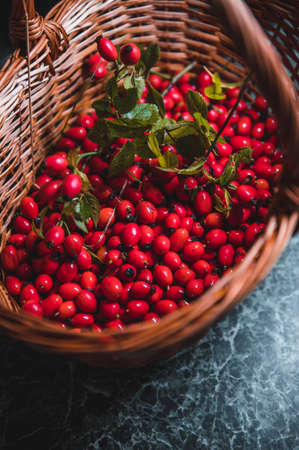 Dark red rose hip on basketの写真素材