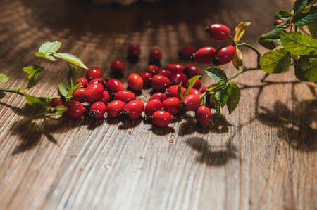 Dark red rose hip on basketの写真素材